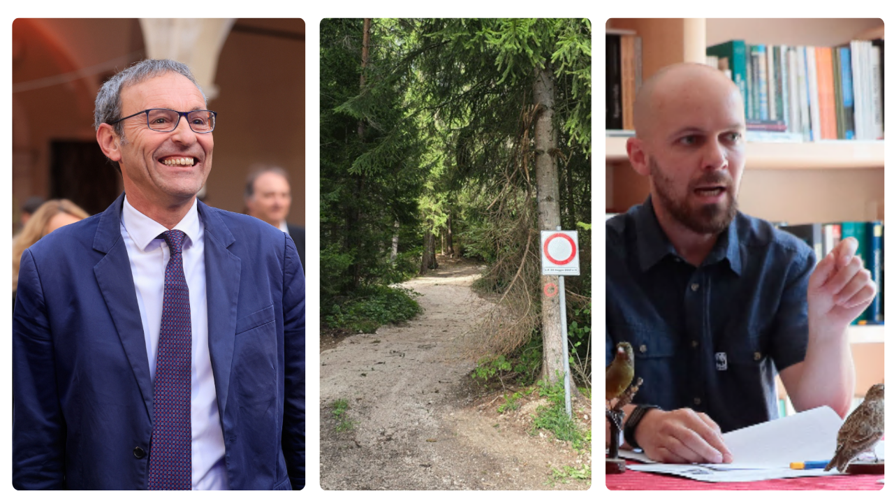 Limiti più blandi sulle strade forestali. Failoni: «Salvaguardiamo la ...