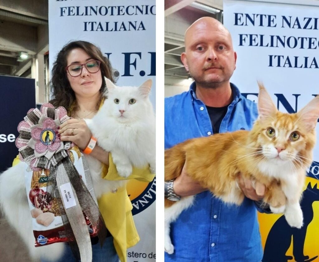 I gatti più belli del mondo sono Poldo e Leonardo