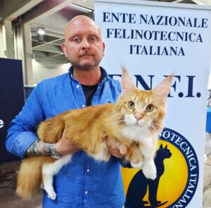 Leonardo il gatto giovane più bello del mondo