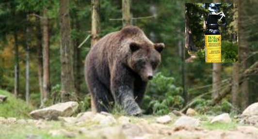 La promessa della Provincia di Trento: «Spray anti orso per tutti»