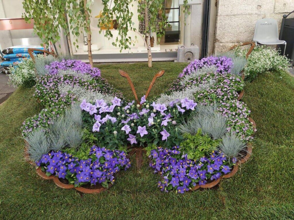 Un'aiuola di Fiori al centro