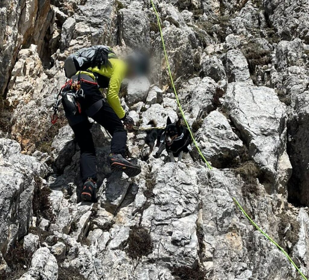 Il cagnolino salvato in parete (foto del Soccorso Alpino)