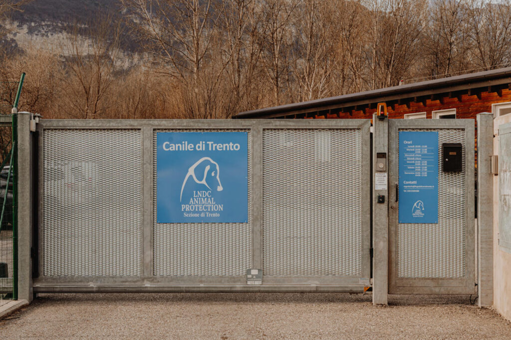 Canile Trento