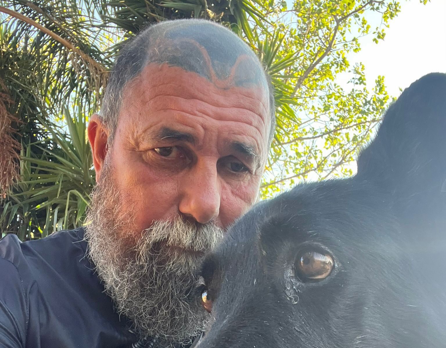 La lunga estate del canile di Rovereto: «Abbandoni ormai rari ma il ...