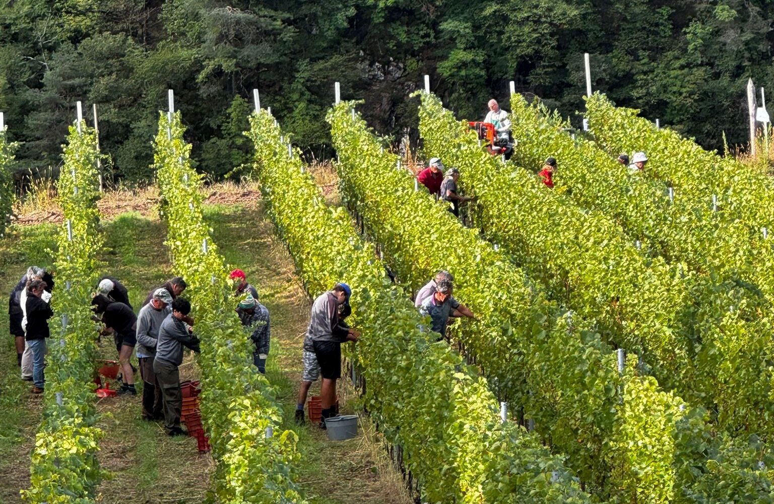 Portachiavi 'Nessuno Combatte Da Solo' In Acciaio Inossidabile - Regolo Per Sopravvissuti E Salute Mentale