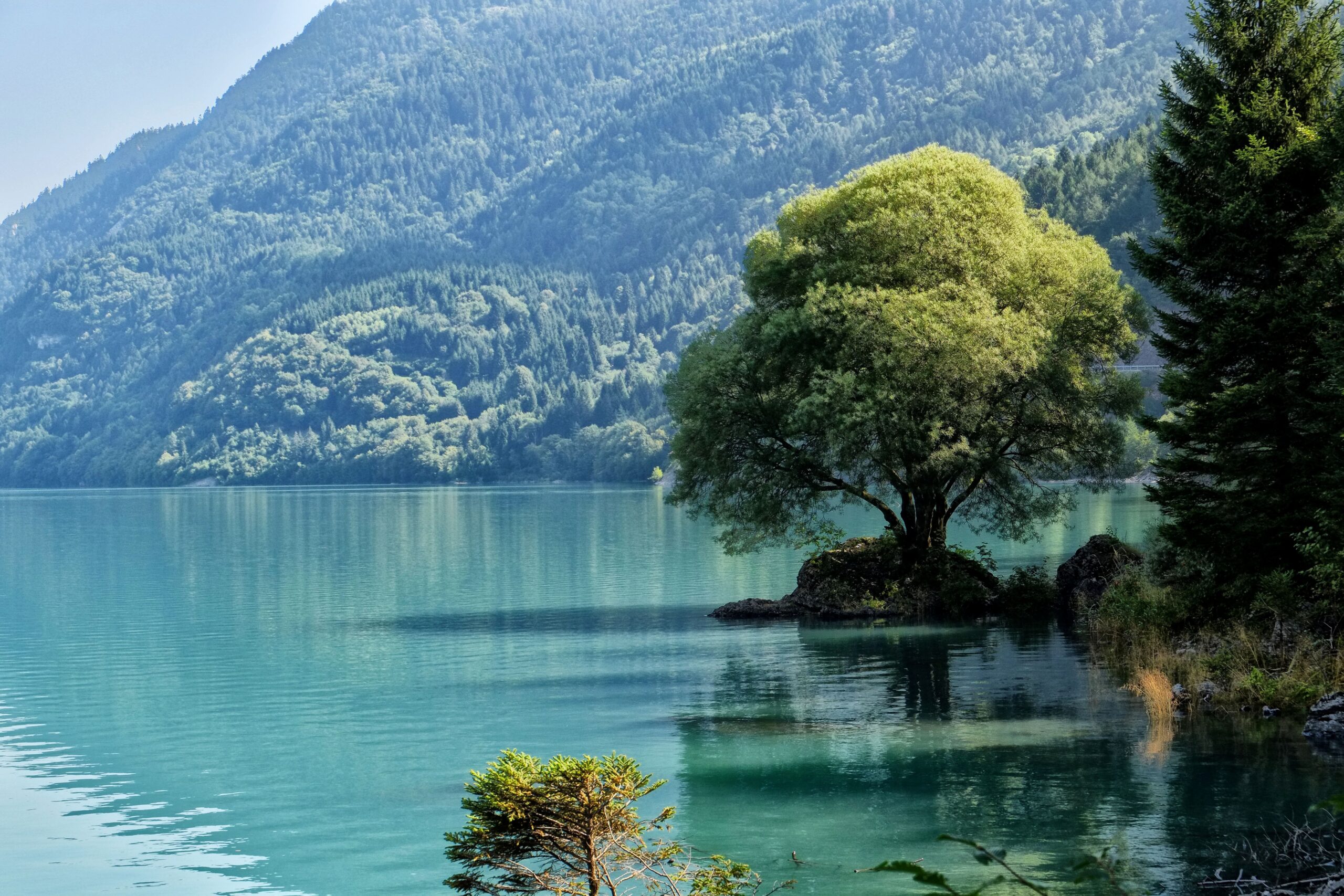 paesaggi Il valore della pianificazione: paesaggi, tra natura e cultura